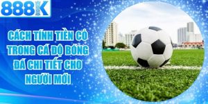 Cách Tính Tiền Cỏ Trong Cá Độ Bóng Đá